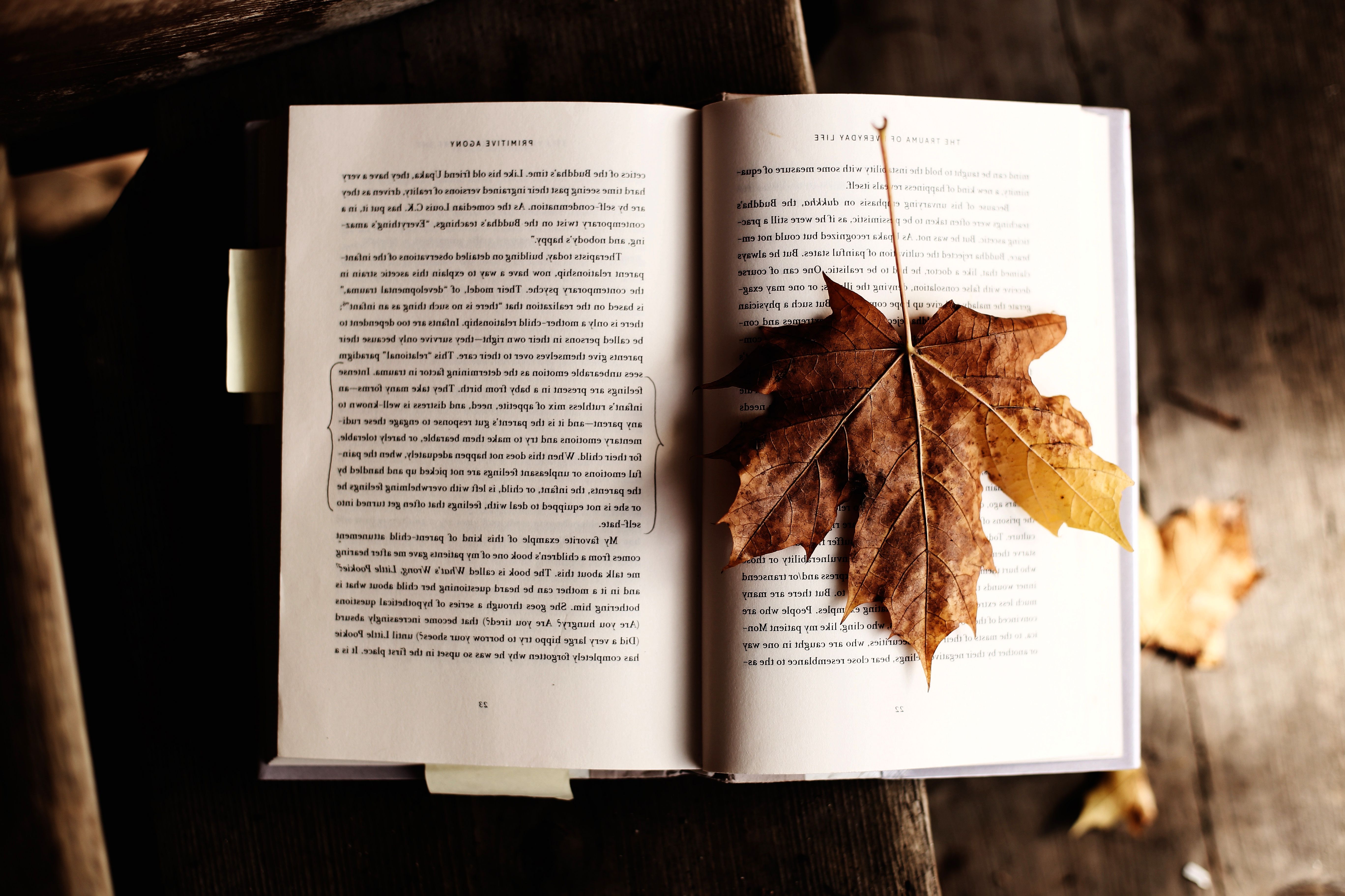 bookautumn